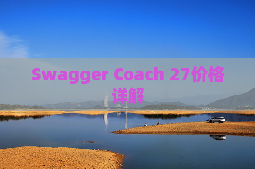 Swagger Coach 27价格详解